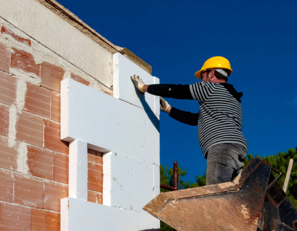 Best Geographic-Specific Insulation Services in Williston, SC