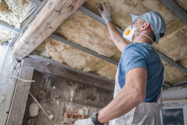 Best Cellulose Insulation in Williston, SC