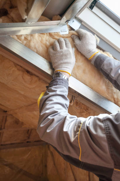 Best Insulation Maintenance and Repair in Williston, SC