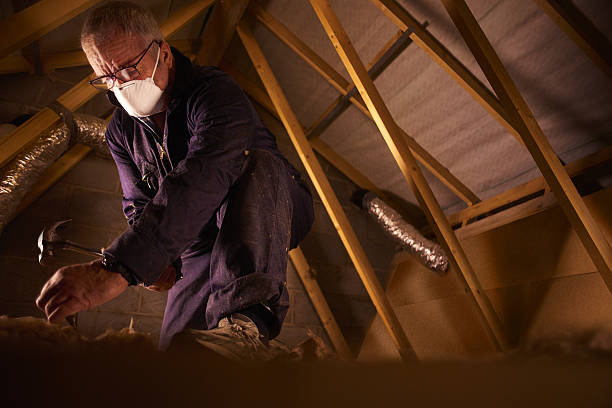 Types of Insulation We Offer in Williston, SC